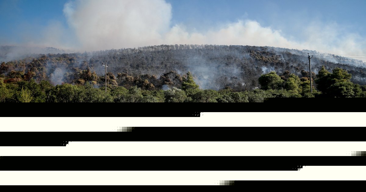 «Πορτοκαλί» συναγερμός στη μισή Ελλάδα: Ο χάρτης κινδύνου για φωτιές «πιάνει» και την Αττική