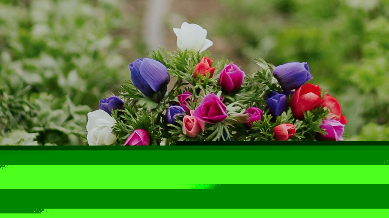 32 best online flower delivery services in the UK for Christmas 2025