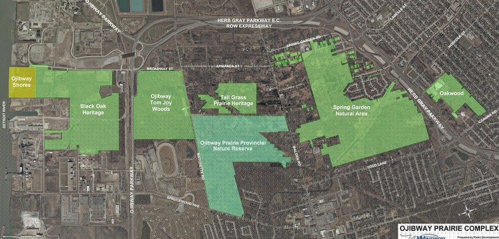 Ojibway park vision unclear to many locals: report