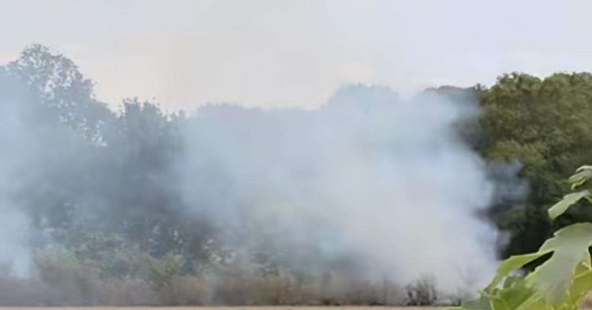 Huge plumes of smoke engulf field beside primary school