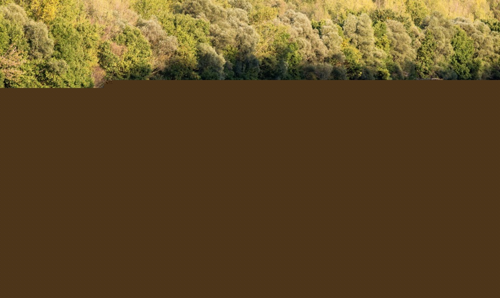 Prolonged drought poses growing risks to BiH's water resources, agriculture, and energy production