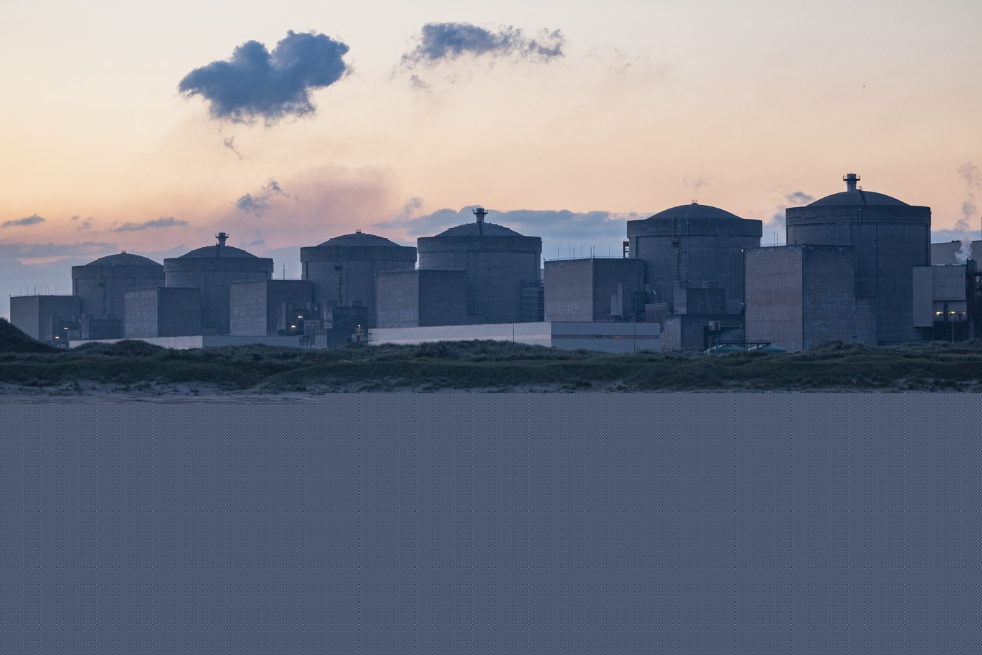 Meduzele au oprit trei reactoare ale unei centrale nucleare din Franța, după ce au reușit același lucru și anul trecut