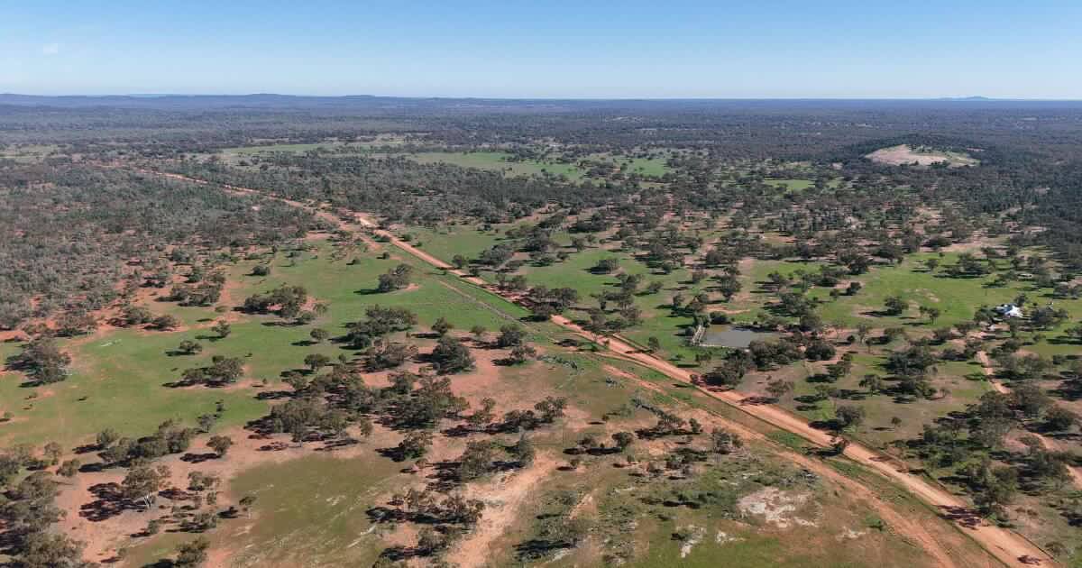 Nimagee underpinned by established carbon project, cultivation potential