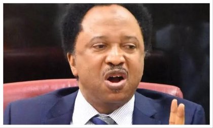 Nigeria Needs More Airstrikes Against Terrorists – Shehu Sani