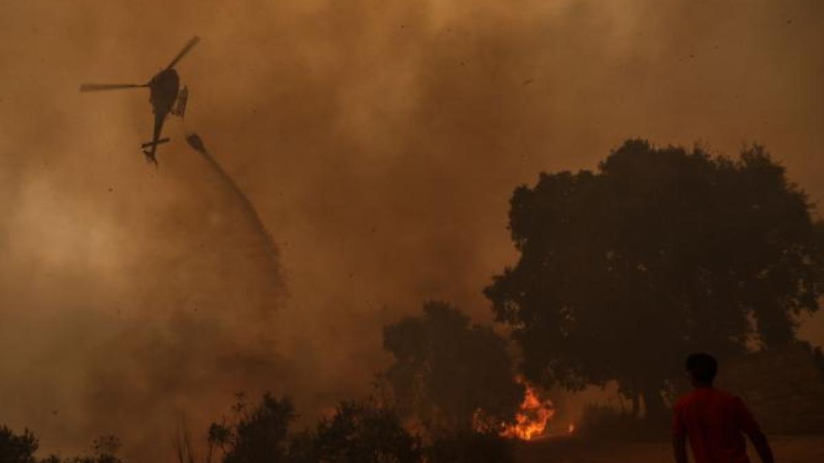 VIDEO / Incendii de amploare în Spania. Un român povestește cum se trăiește în mijlocul dezastrului: Au plecat doar cu ce aveau pe ei
