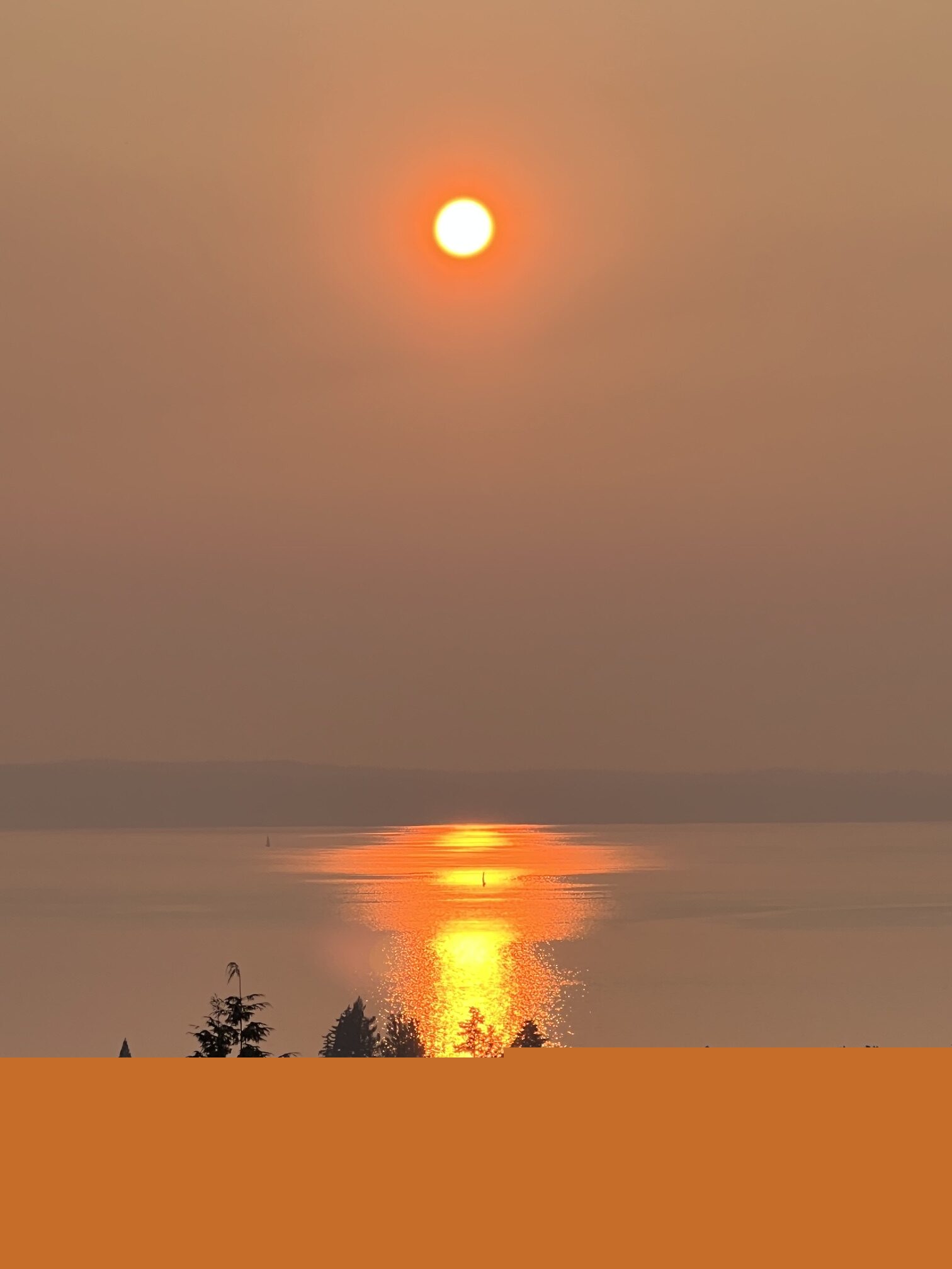 Scene in Edmonds: Around town