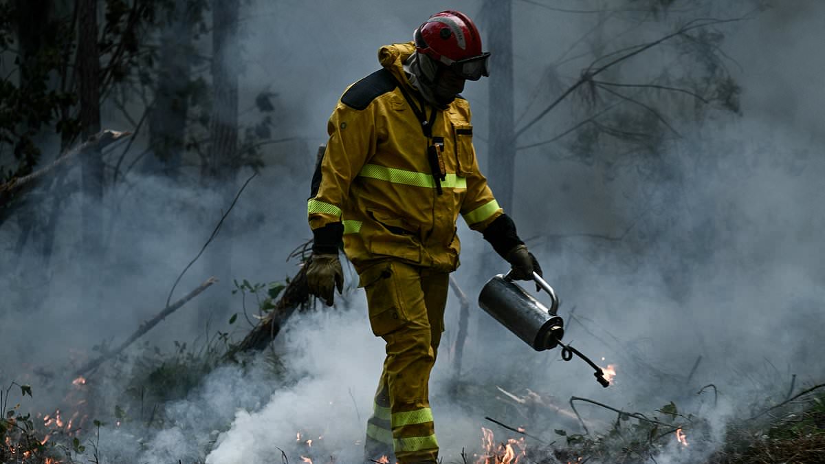 Villagers hit by Bordeaux inferno feel 'abandoned' as fire crews protected 'tourists and the wealthy', JAMES FIELDING reports from southwestern France on Daily Mail's Deep Dive podcast