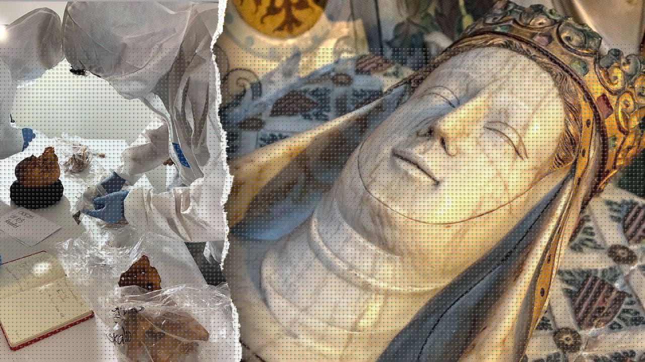 Startling mystery revealed in centuries-old royal tombs at powerful queen's monastery