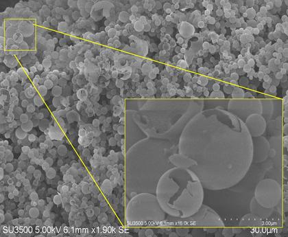 New single-dose, temperature-stable rabies vaccines could expand global access