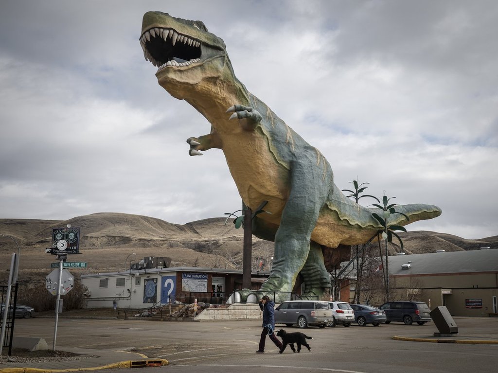 Tyra the Tyrannosaurus likely to leave a footprint in Drumheller civic election
