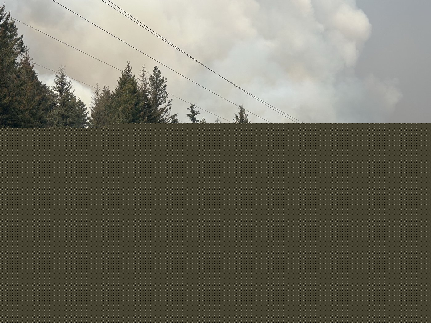 Police in B.C. launch wildfires arson investigations in Interior and Metro Vancouver