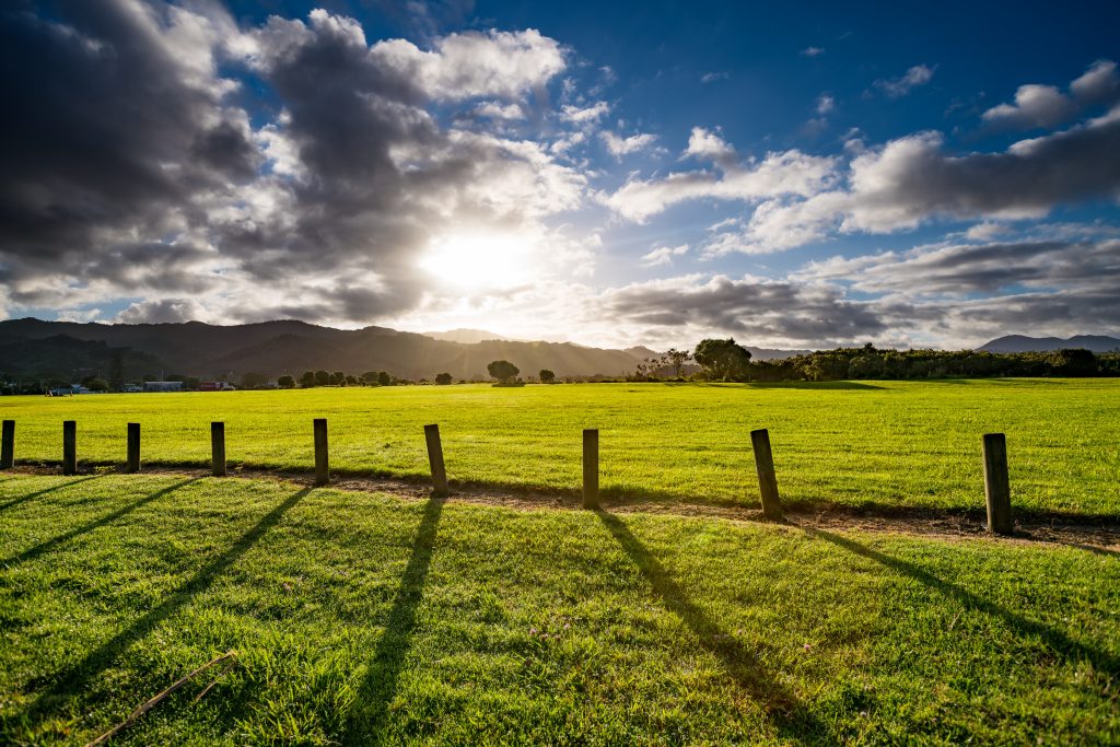 2025 Fall Homeland | A Buyer’s Checklist