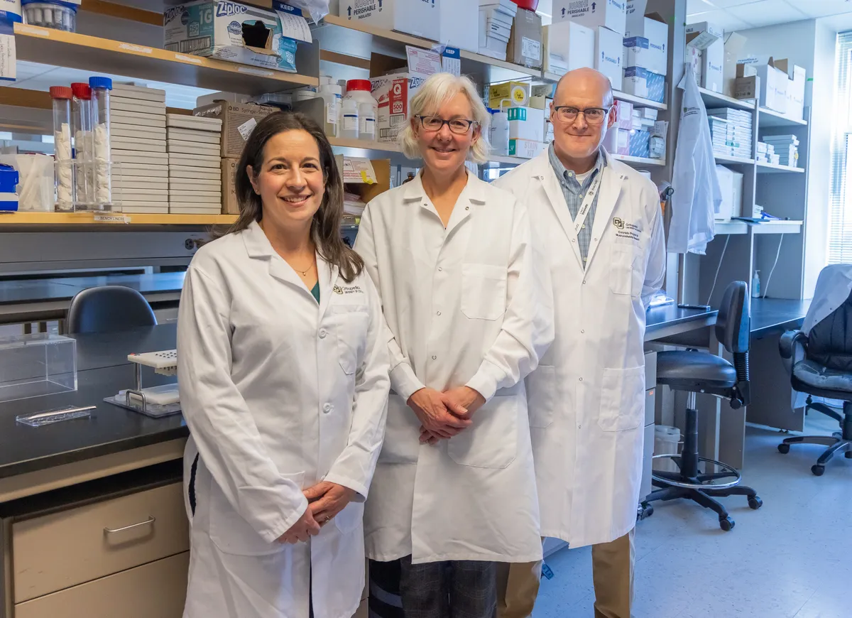 Renovare targets osteoarthritis with regenerative therapies
