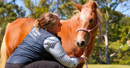 From the saddle to the clinic: a young leader's journey to healing horses