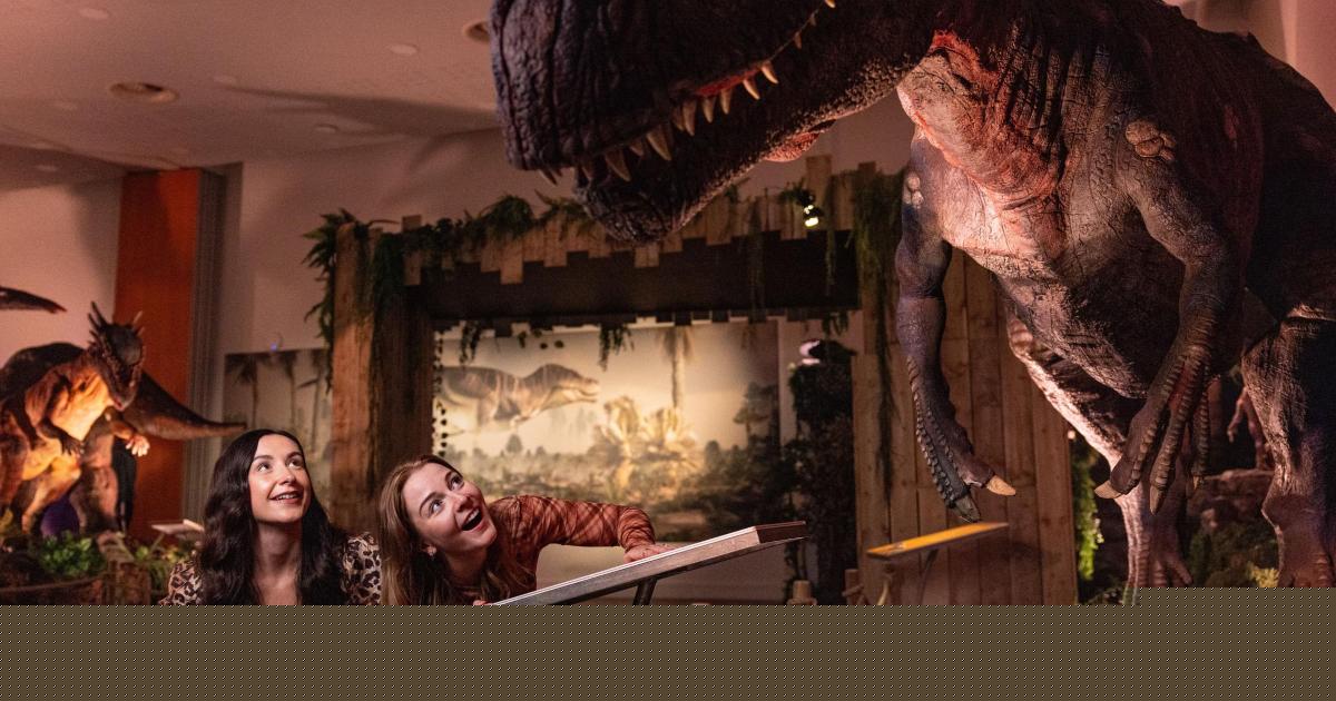 Adults invited to dinosaur-themed after-hours event at North East attraction