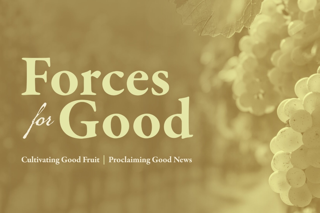 Forces for Good Summit premieres with inaugural award in abuse prevention