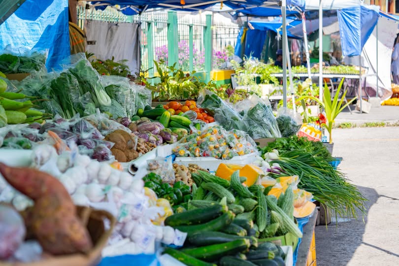 FOOD IMPORTS TO BE REDUCED BY 15%
