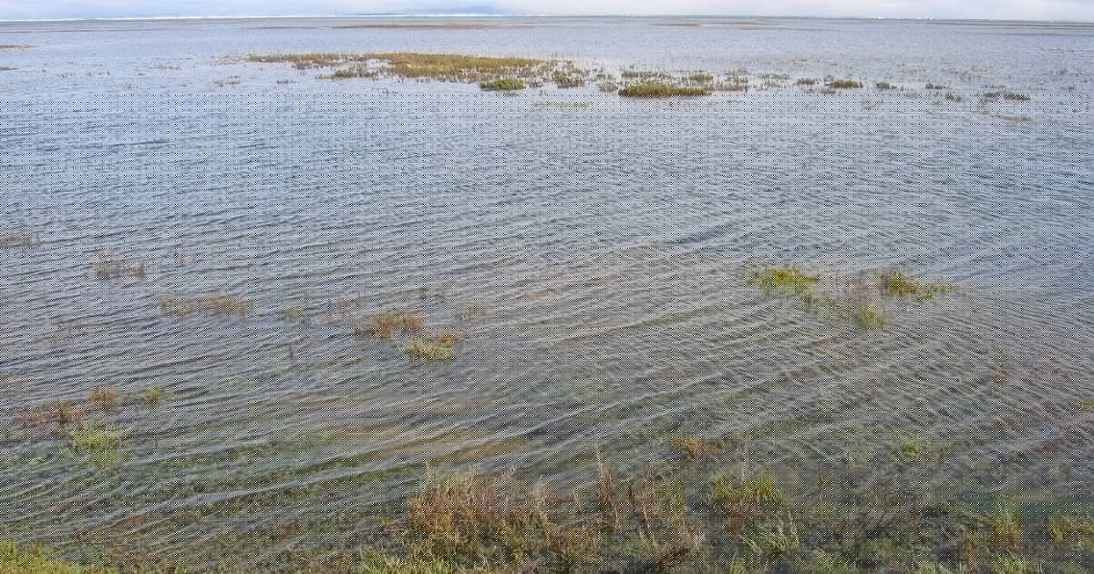 Whale Sanctuary of El Vizcaino