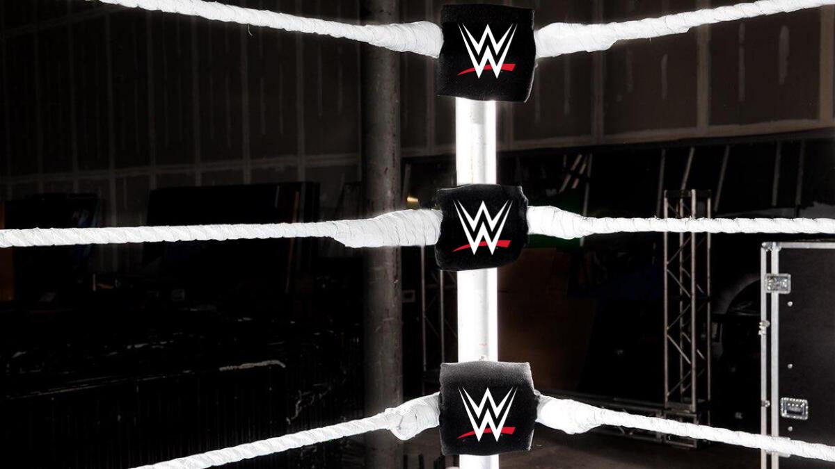 WWE Star Can ‘Definitely See’ Reunion With Former Tag Partner Happening