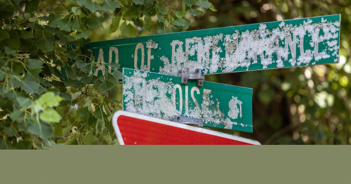 Coroner identifies woman found hanging from a tree behind a vacant Jackson home