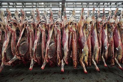Cattle futures surge to record highs on Mexican import ban - CME