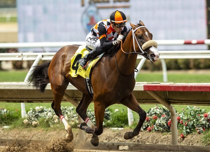 ‘Rising Star’ Intrepido, by Maximus Mischief, Wins ‘WAYI’ American Pharoah