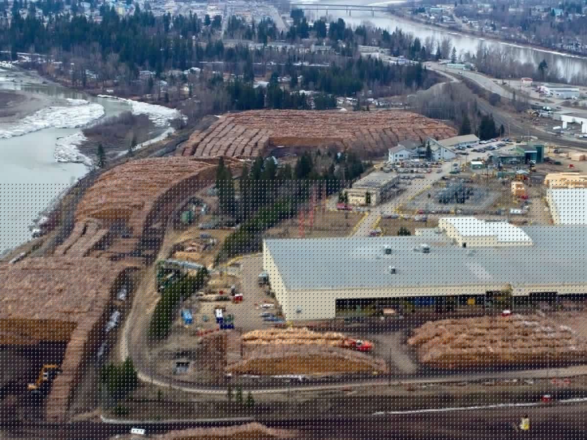 West Fraser Timber posts US$61 million loss in second quarter