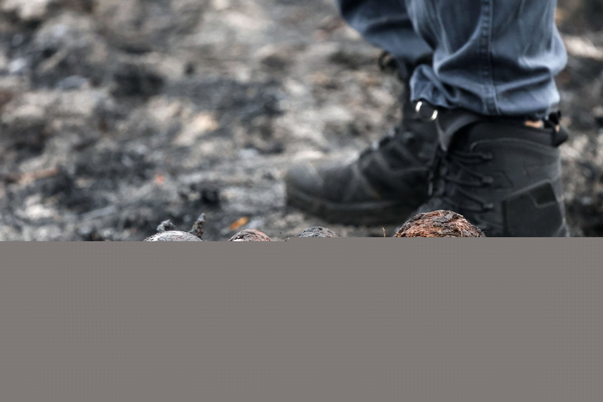 More than 400 WWII shells found in village at center of France’s wildfire crisis