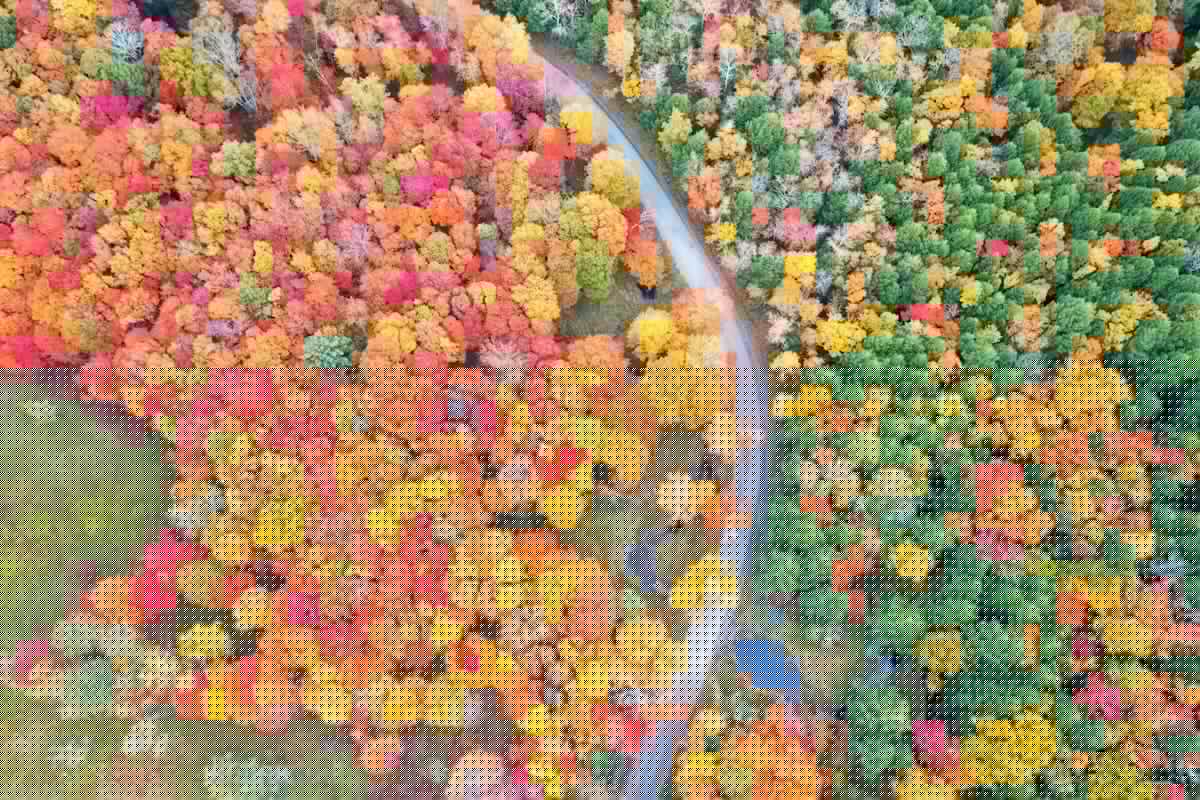 Fall Is Coming: See When New York’s Leaves Will Peak