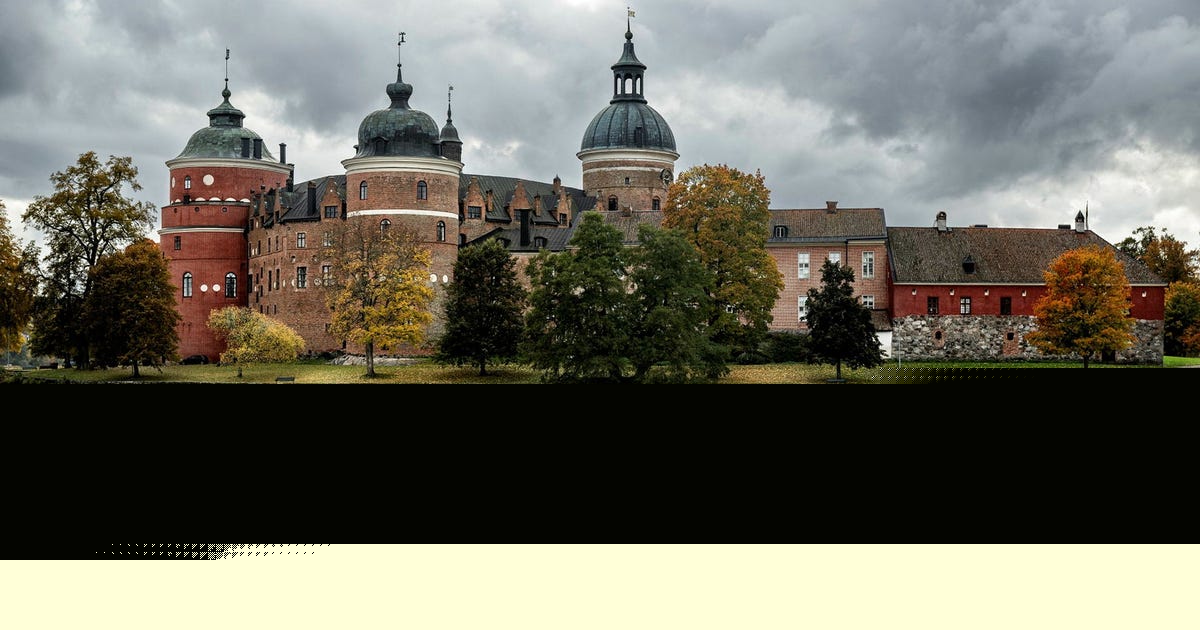 De bästa Stockholmstipsen 10 augusti: Familjeäventyr i vasaborg och unga kvinnliga virtuoser