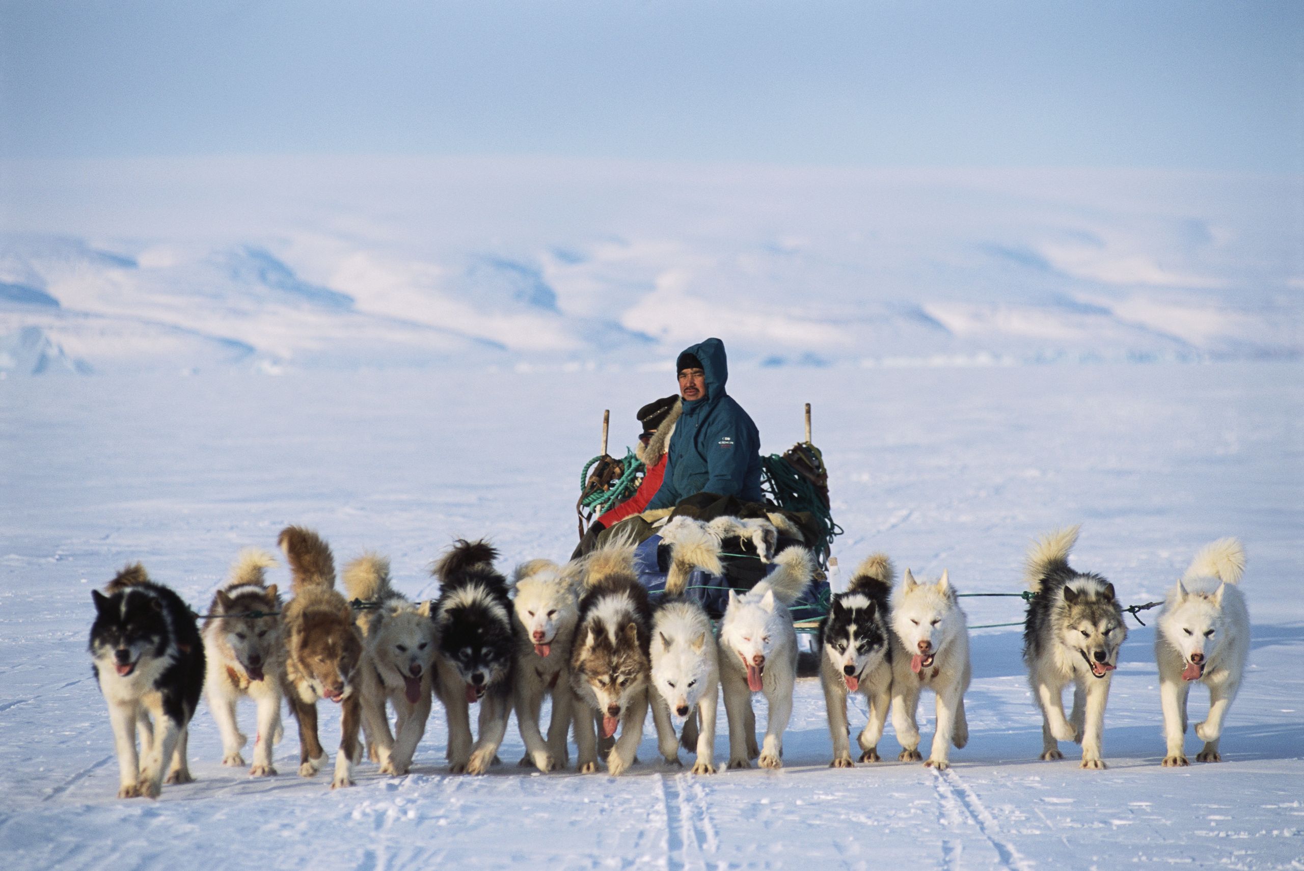 What is everyone talking about this week: Everything you wanted to know about Greenland* (*but were afraid to ask)