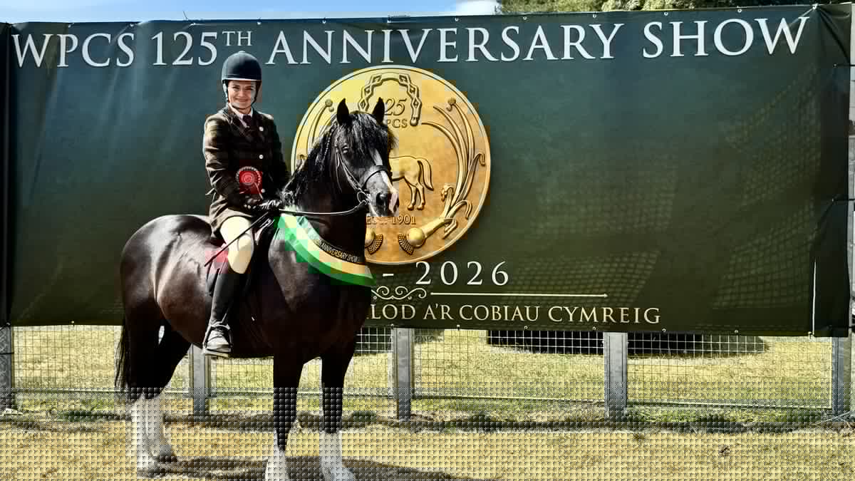 Welsh Pony and Cob Society marks 125 years at Royal Welsh Showground