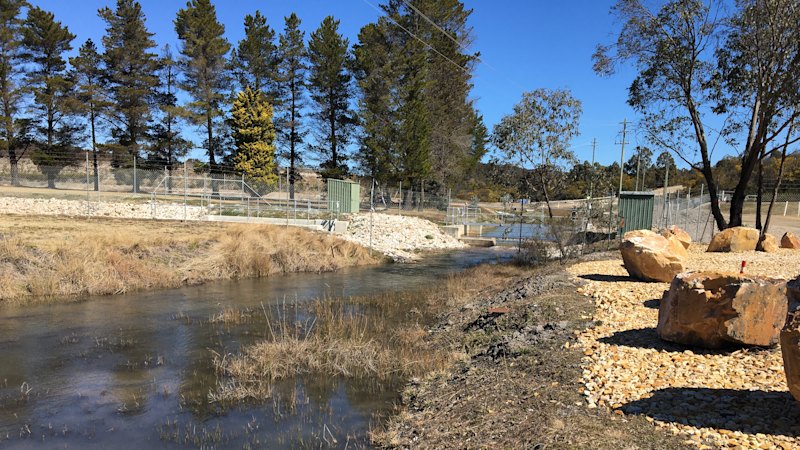 ‘Colossal’ pollution spikes in Sydney’s drinking water catchment