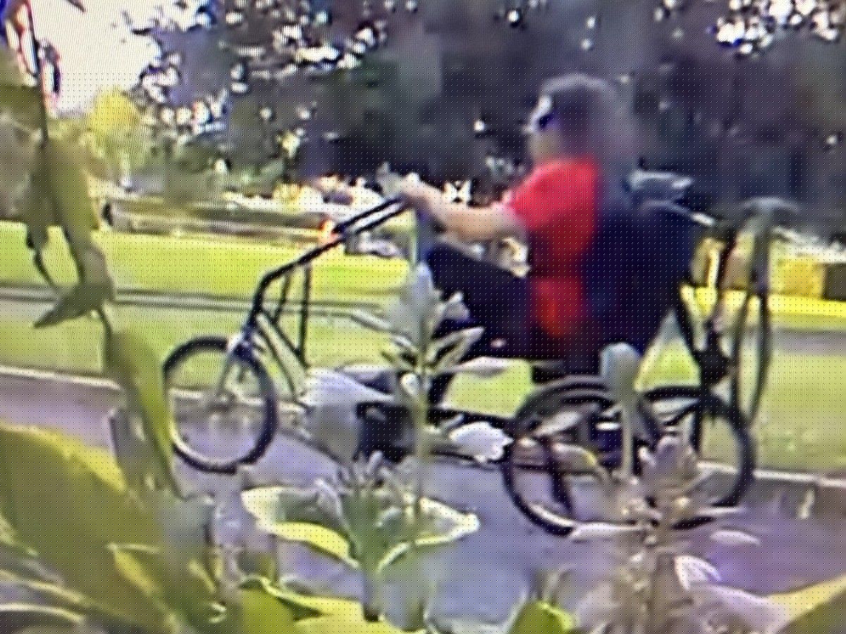 Adult tricycle of man with Parkinson's stolen; police seek public's help