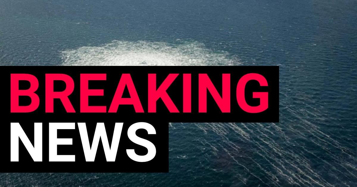 Diving instructor arrested over Nord Stream gas pipeline explosions