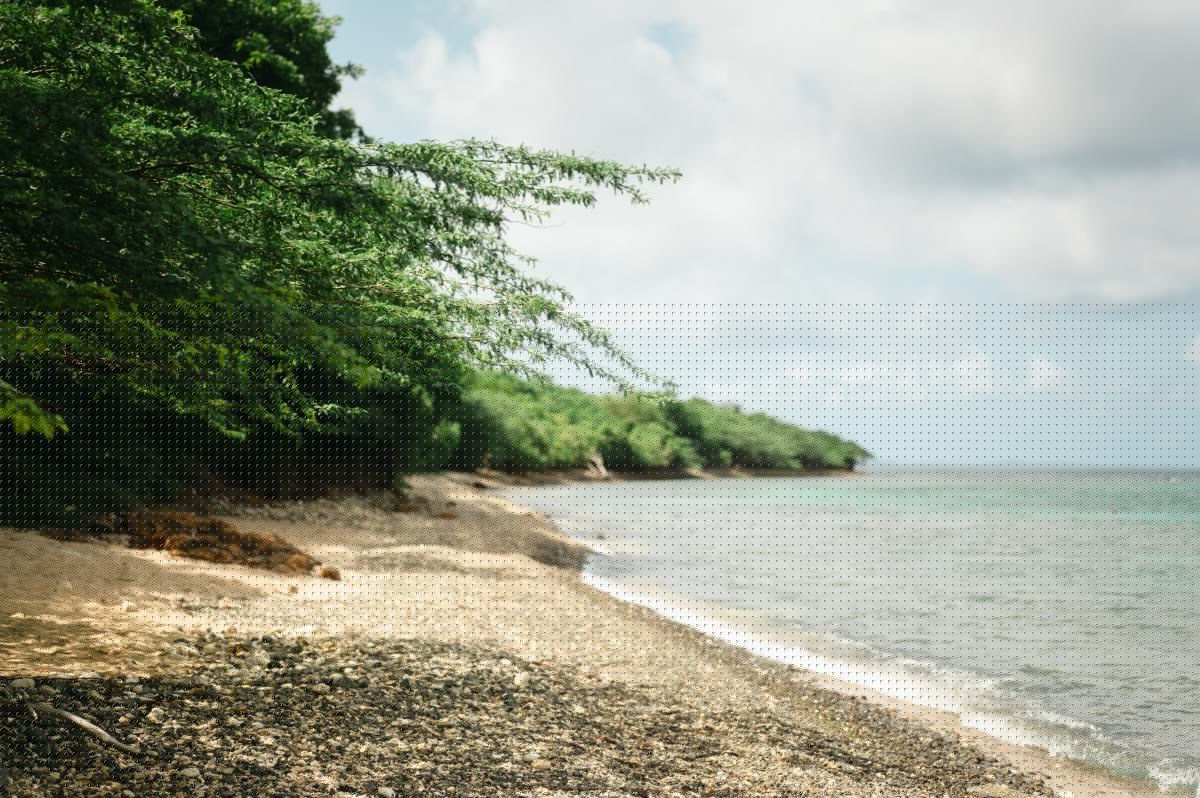 Hombre de Ohio fue hallado muerto en una playa de Puerto Rico tras alertar sobre un extraño que rondaba su campamento