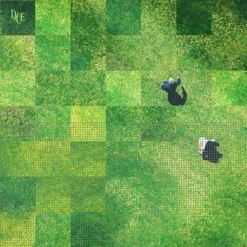 DICE  –  I Thought The Altitude Would Make It Worth The View