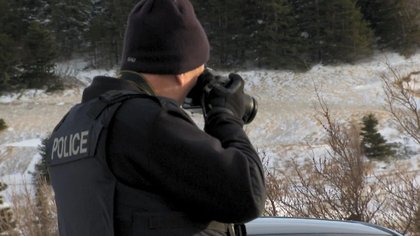 Police shoot and kill two dogs that attacked people in Pouch Cove