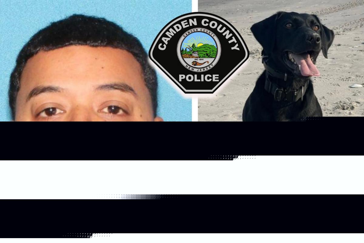 Cops: K-9 finds hidden phone in NJ man's child exploitation case