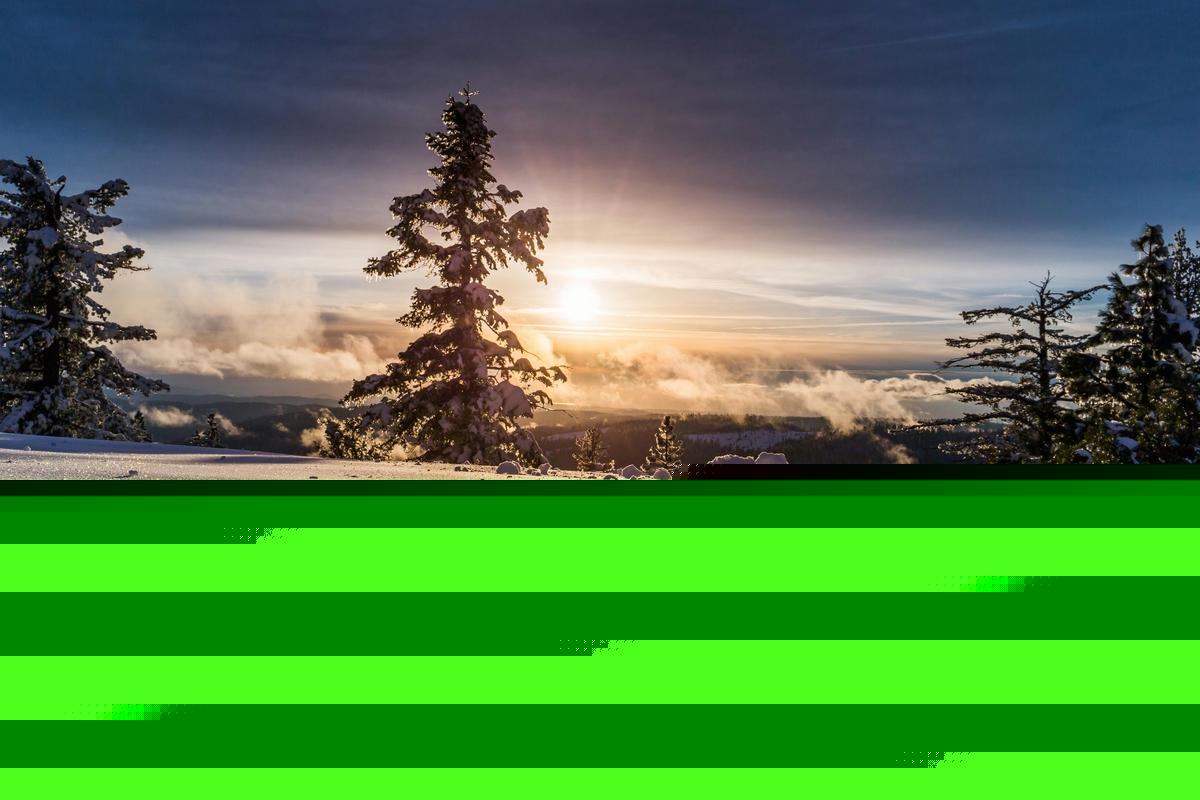 Winter 2025-26 Forecast for New Jersey