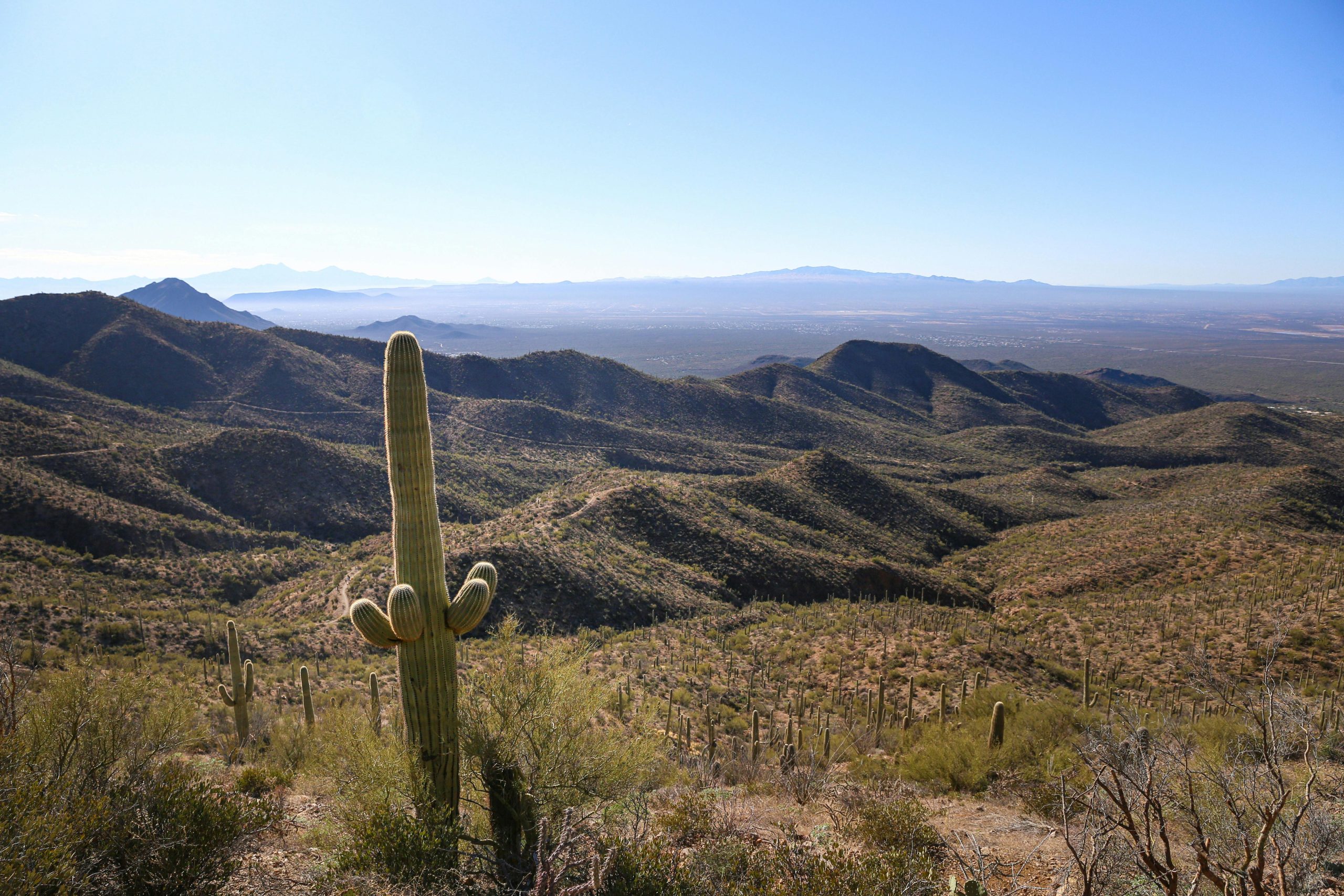 Finding Flexible Mental Health Support Options for Tucson Locals