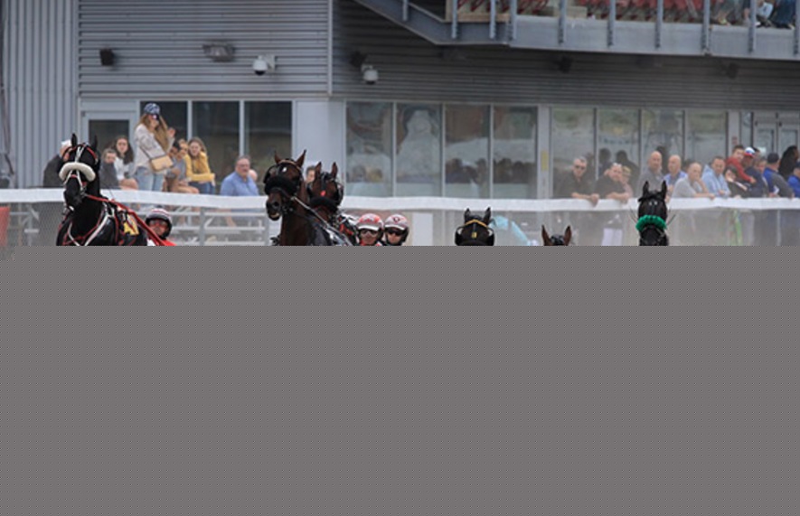 Sweet Molly headlines Charlottetown feature