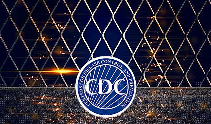 BEST OF THE WEB FLASHBACK: The CDC Planned Quarantine Camps Nationwide