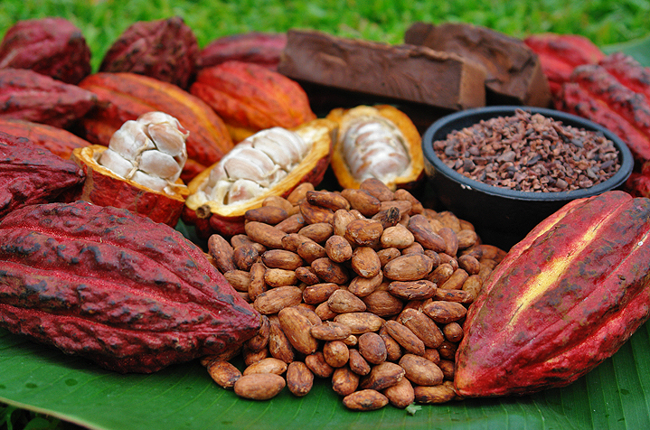 Government increases 2025/26 cocoa crop season price by GH₵400