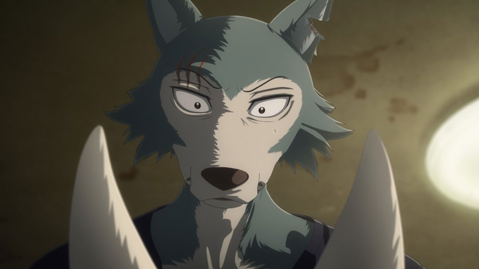 Beastars Final Season Part 2 Release Timeline, Story & Streaming Details