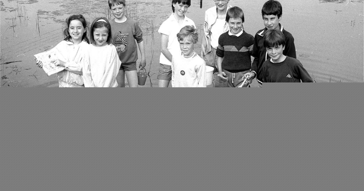 Gallery of pond dipping, park play and more blasts from the past