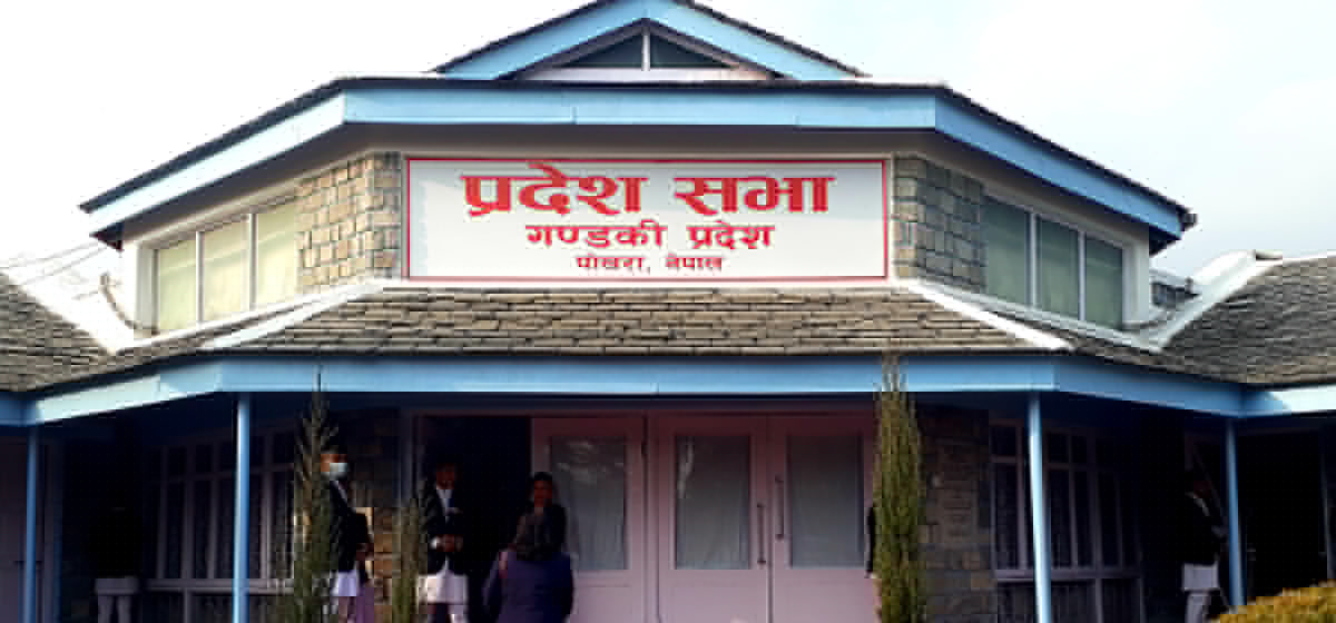 Gandaki approves cannabis farming with tight controls