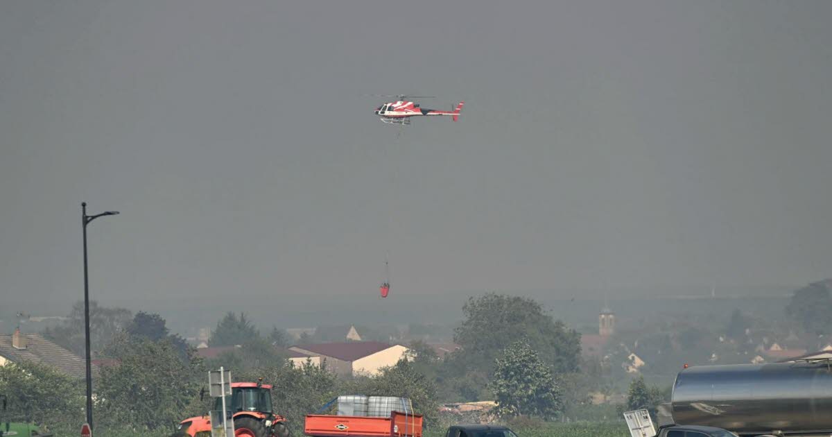 Couchey et Marsannay-la-Côte. Un important feu de forêt au-dessus du château de Marsannay