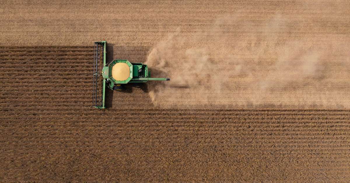 Farmers Urge Trump to Secure Soybean Trade With China