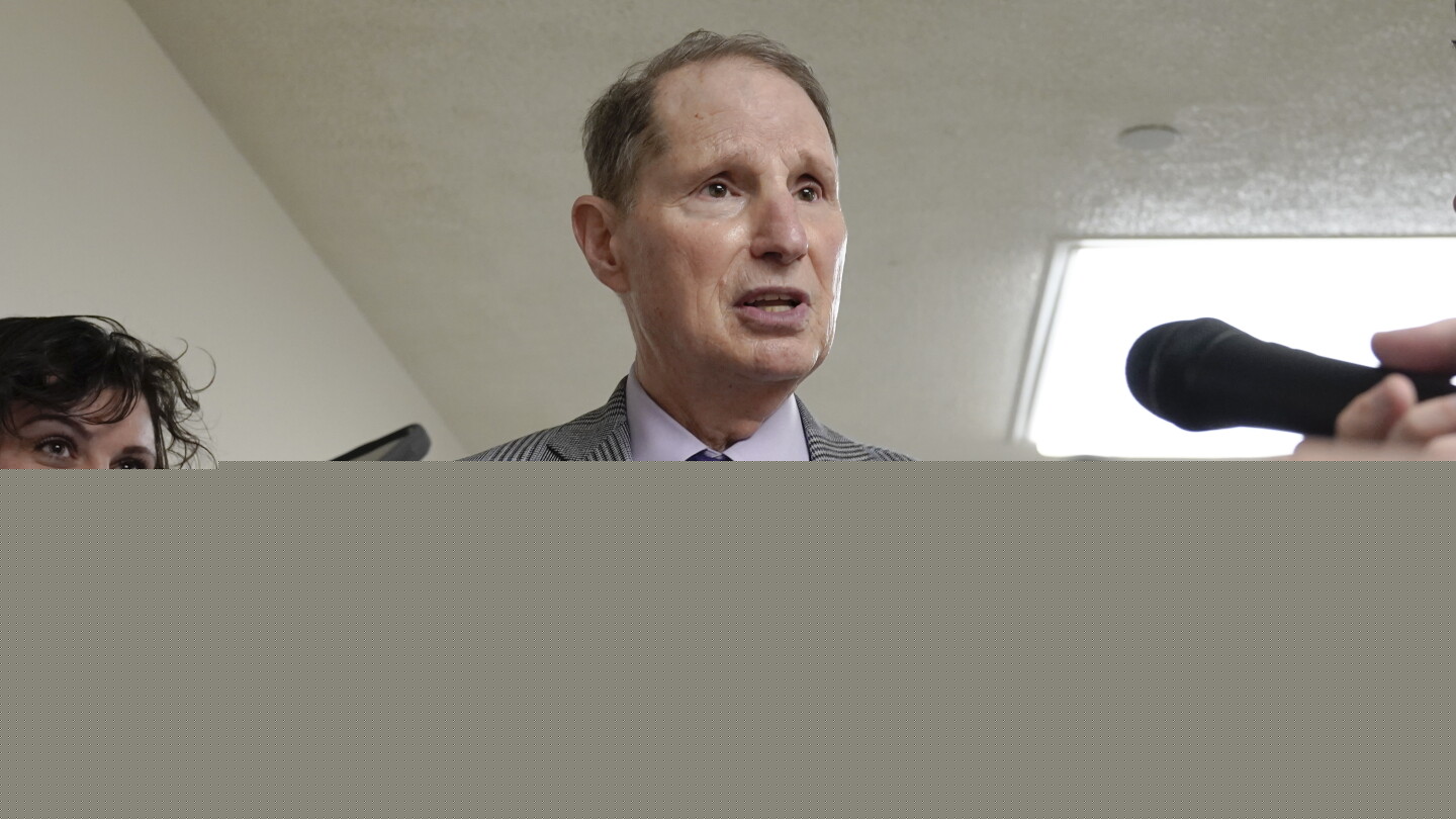 Democrats’ Split on AI Grows as a New Plan Emerges